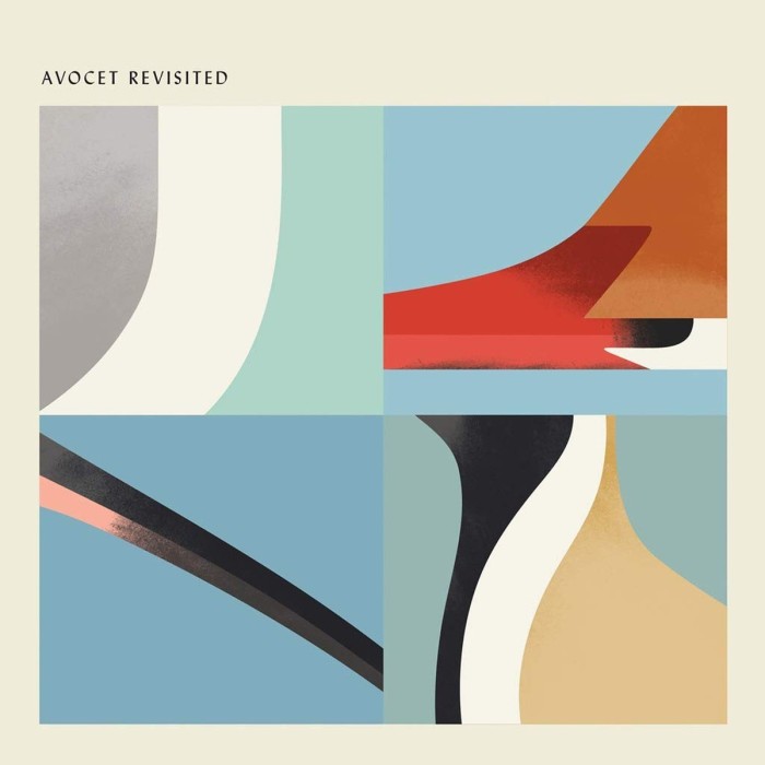 Various Artists - Avocet Revisited