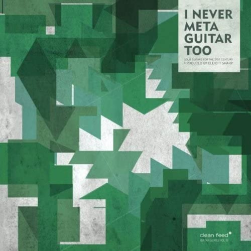 Various Artists - I Never Metaguitar Too