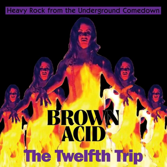 Various Artists - Brown Acid - The Twelfth Trip