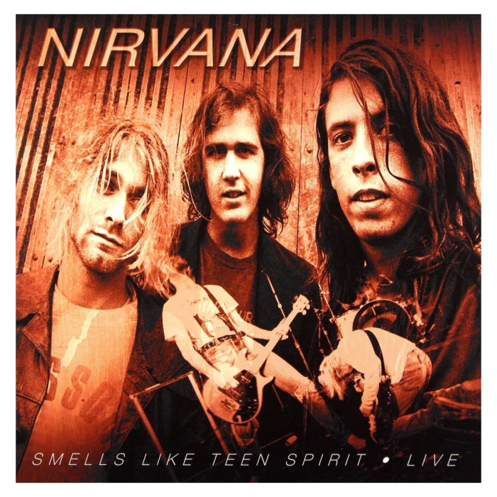 Nirvana - Smells Like Teen Spirit Live