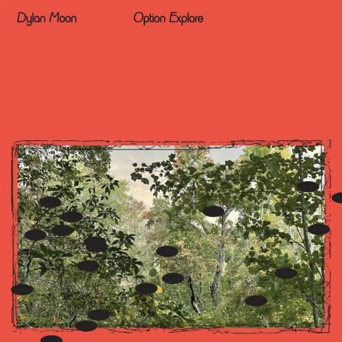 Dylan Moon - Option Explore