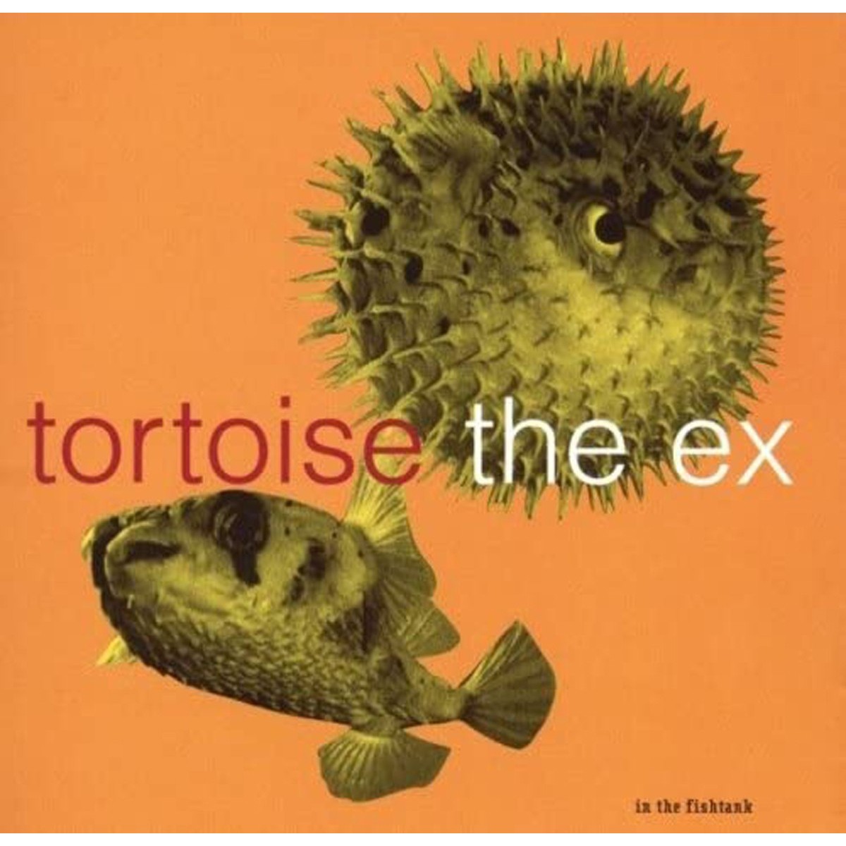 Tortoise + The Ex - In The Fishtank