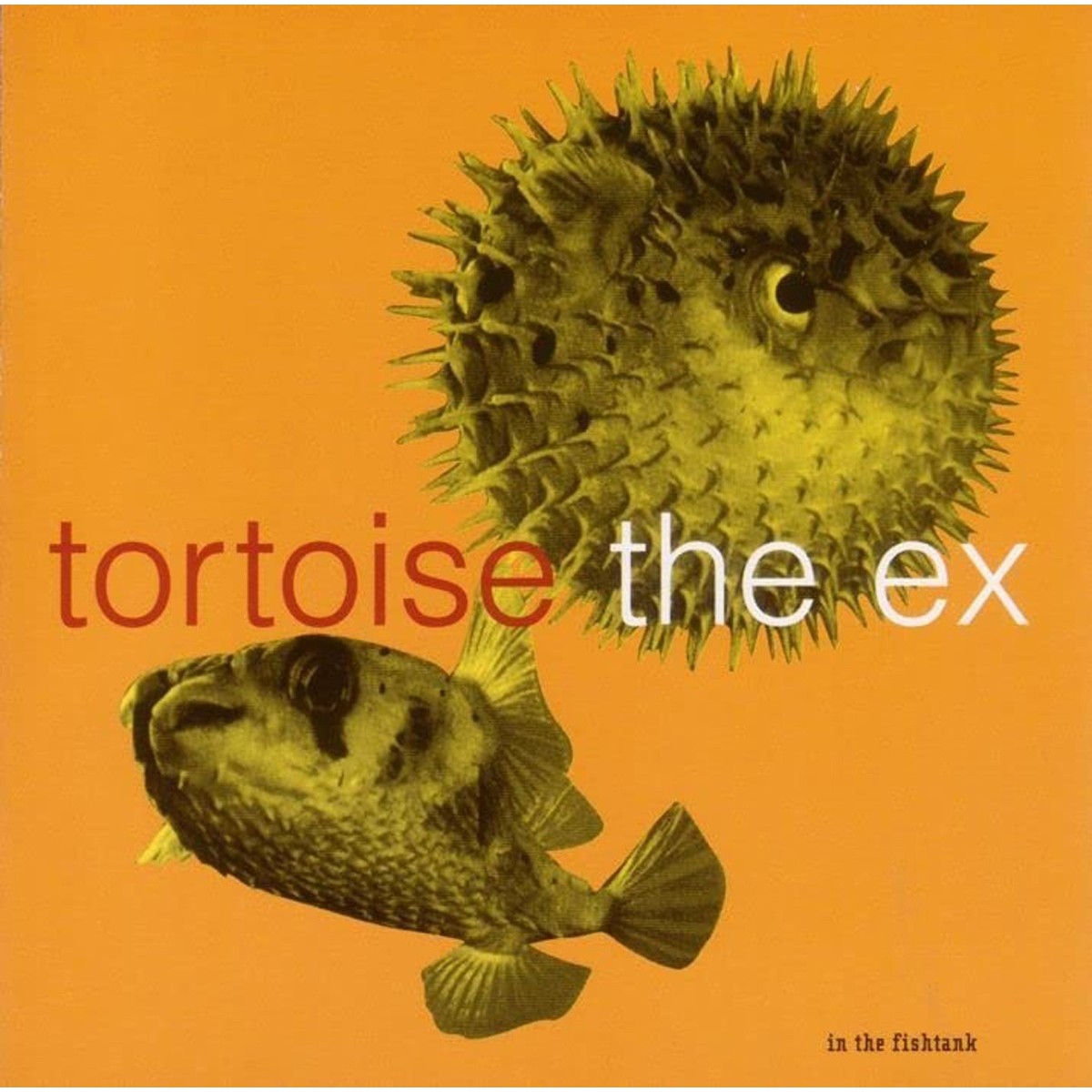 Tortoise + The Ex - In The Fishtank