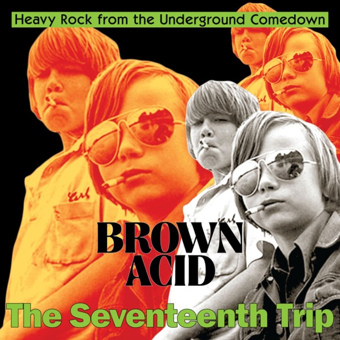 Various Artists - Brown Acid - The Seventeenth Trip